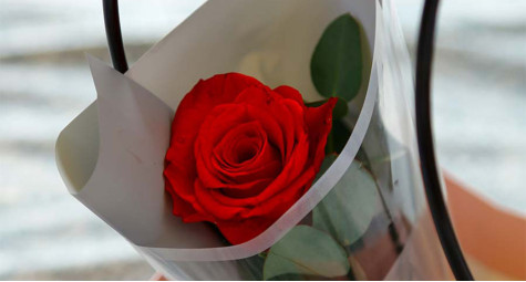 Значение чисел цветов в традициях дарения в разных культурах